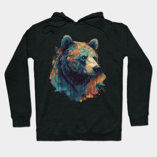 Colorful Bear Hoodie